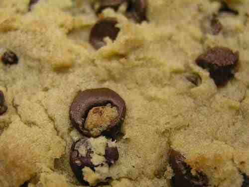 cookie Photo by inajeep