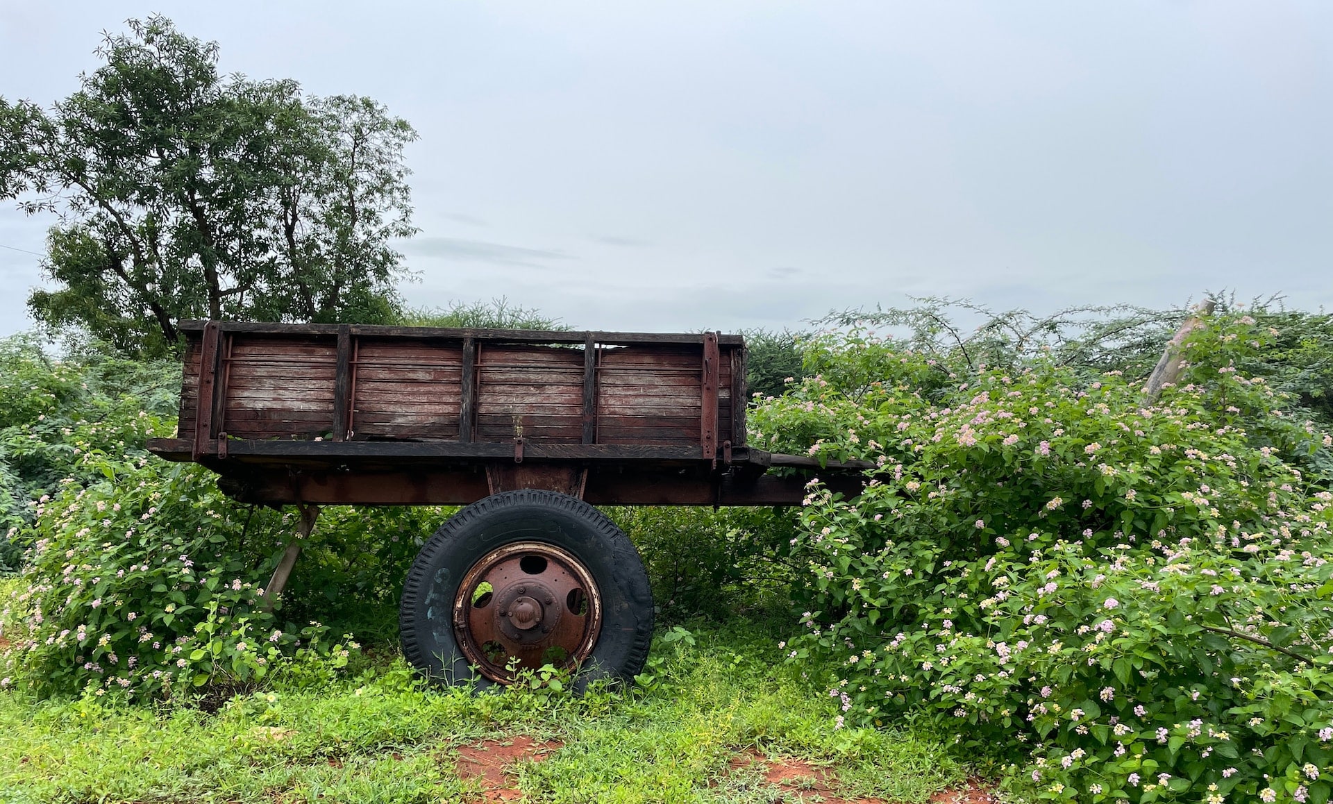 Reducing Cart Abandonment